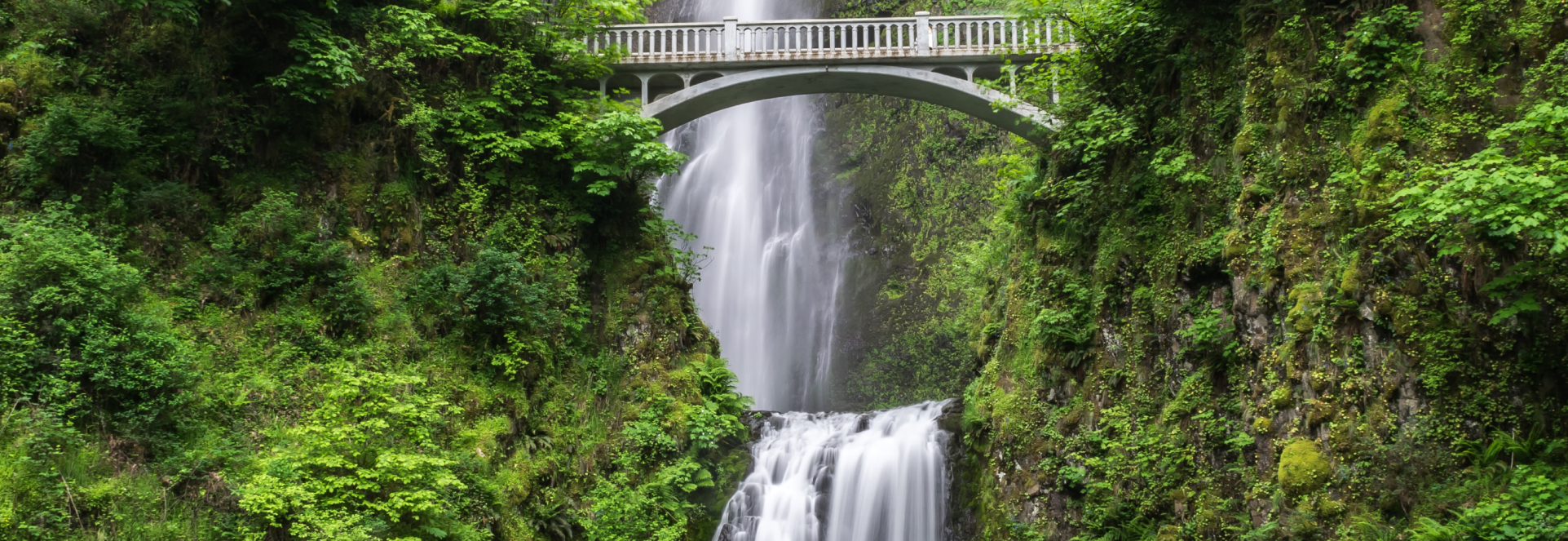 Multnomah Falls Cover Photo